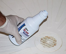 Drain Maintenance