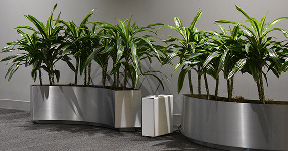 Product Showcase