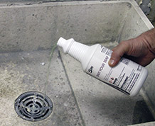 Drain Maintenance
