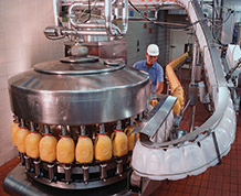 Facility Maintenance