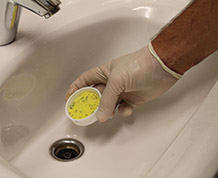 Drain Maintenance
